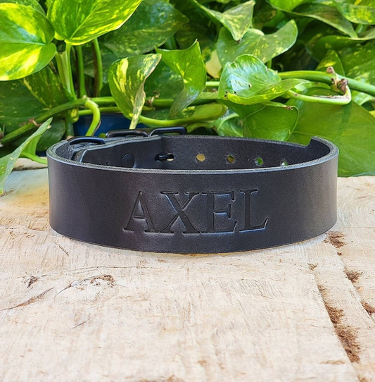 Black Tapered Wide Leather Dog Collar, Made In The U.S.A.